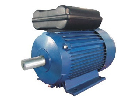 YL系列雙值電容單相異步電動(dòng)機(jī)